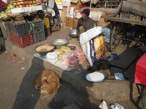 Outskirts of Old Delhi--a vendor selling corn to feed to birds, with a large pan of milk for stray cats and a street dog curled up on front.